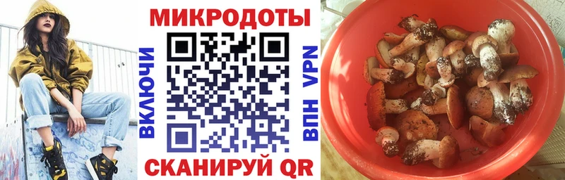 Галлюциногенные грибы Cubensis Артёмовский